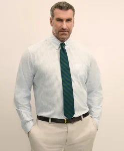 Big & Tall Stretch Cotton Broadcloth Non-Iron Polo Button Down Collar, Dress Shirt