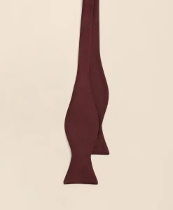 Formal Butterfly Bow Tie