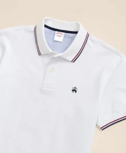 Golden Fleece® Supima® Tipped Polo Shirt