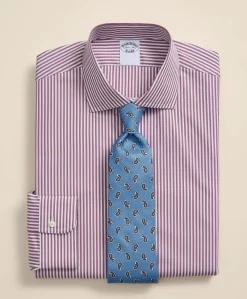 Pure Supima® Cotton Regular-Finish English Spread Collar, Stripe Dress Shirt