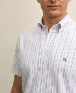 Stretch Cotton Non-Iron Oxford Polo Button Down, Double-Stripe Short Sleeve Sport Shirt